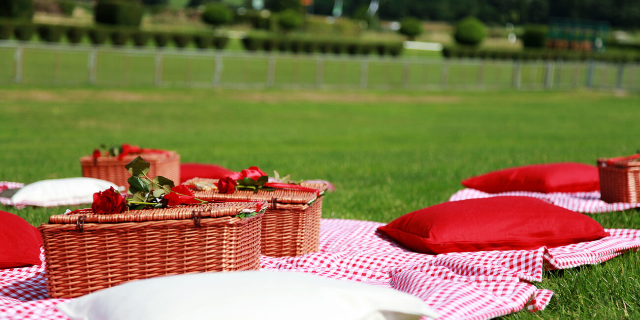 Picknickkörbe mit roten Rosen, Vichykaro-Decken und Kissen auf der Wiese – stilvoller Hochzeitsempfang – Hochzeitsplanung Mettmann